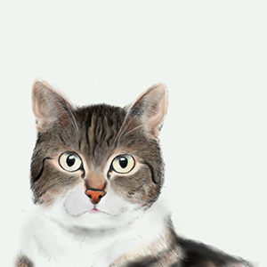 デザインイメージ画像